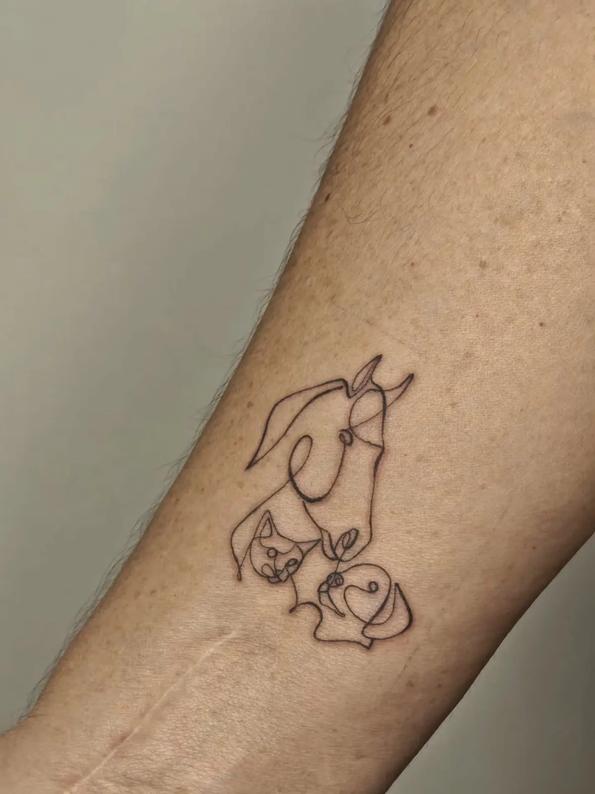 Continuous-line drawing of two faces and roses on a forearm.