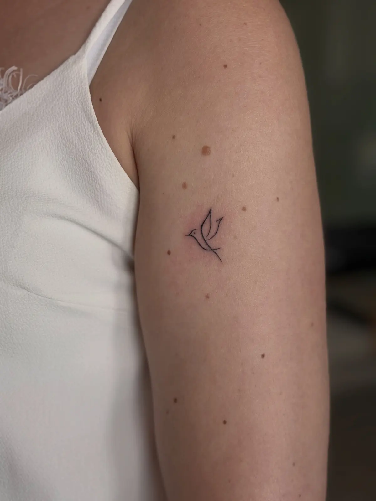 Tiny dove drawn in a few fine lines on the back of the upper arm.