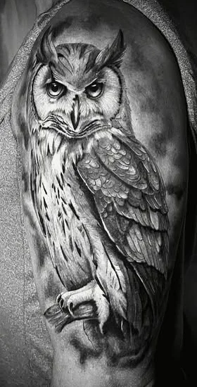 Realistic black and grey owl perched on a branch, tattooed on an upper arm.