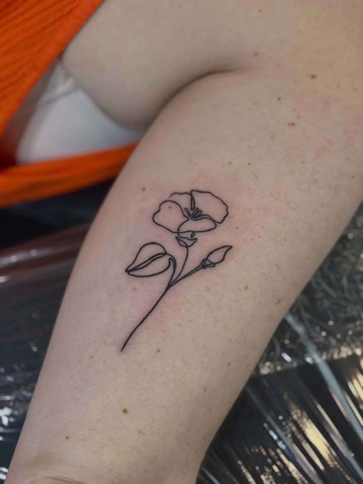 Single-needle fine-line poppy flower with stem and leaves on a forearm.